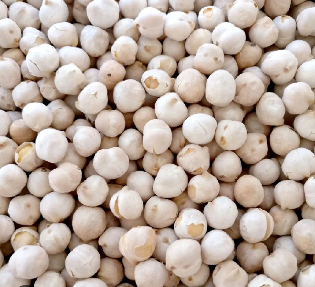 Ceci tostate 500gr